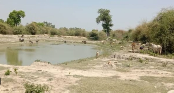 Water Crisis: गायब हो चुके हैं देश के ढाई लाख तालाब, रोक सकते थे शहरों का जल संकट 1 IMG 20240425 215331