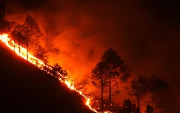 Uttarakhand Forest Fire: धधकते जंगल... सुलगते पहाड़ और सांसों पर संकट...बिगड़ता पर्यावरण 1 IMG 20240427 180354