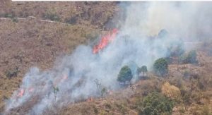 Uttarakhand Forest Fire: धधकते जंगल... सुलगते पहाड़ और सांसों पर संकट...बिगड़ता पर्यावरण 3 img 20240427 1803411504586377082993484
