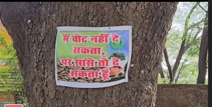 MP: मैने तुम्हारा क्या नुकसान किया...', एक शहर में कत्ल ए आम पर पेड़ लगा रहे मदद की गुहार...! 2 img 20240520 1317275932389800277884303