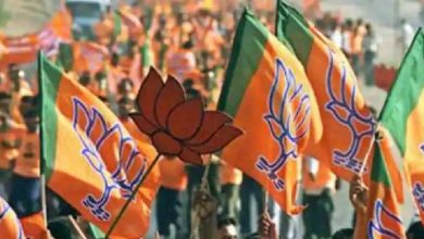 1555139 bjpzeenews1
