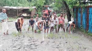 ग्रामीणों ने कीचड़ से सनी सड़क पर लगाया धान 1 ग्रामीणों ने कीचड़ से सनी सड़क पर लगाया धान