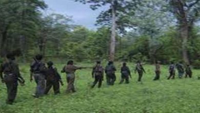 छत्तीसगढ़ के सुकमा में सुरक्षा बलों की बड़ी कार्रवाई एक