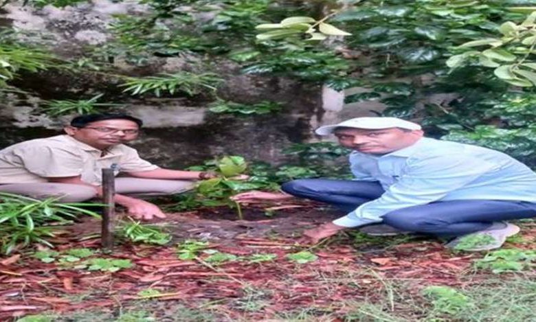 विश्व पर्यावरण दिवस के अवसर पर चलाया जा रहा 'एक पेड़ मां के नाम' अभियान 1 विश्व पर्यावरण दिवस के अवसर पर चलाया जा रहा एक