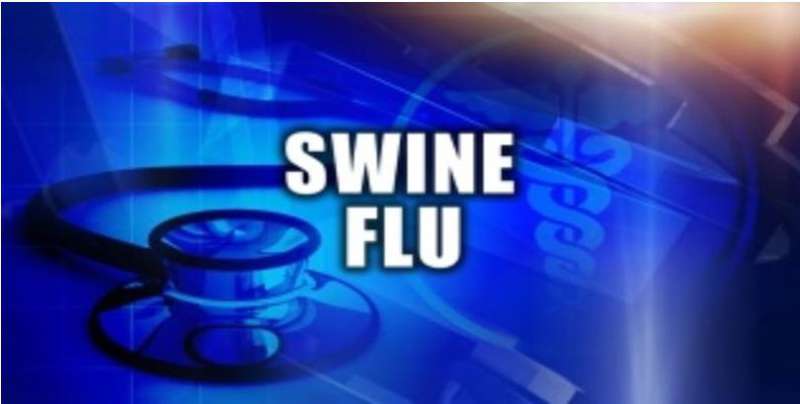 स्वाइन फ्लू का खतरा दो नए मामले सामने आए