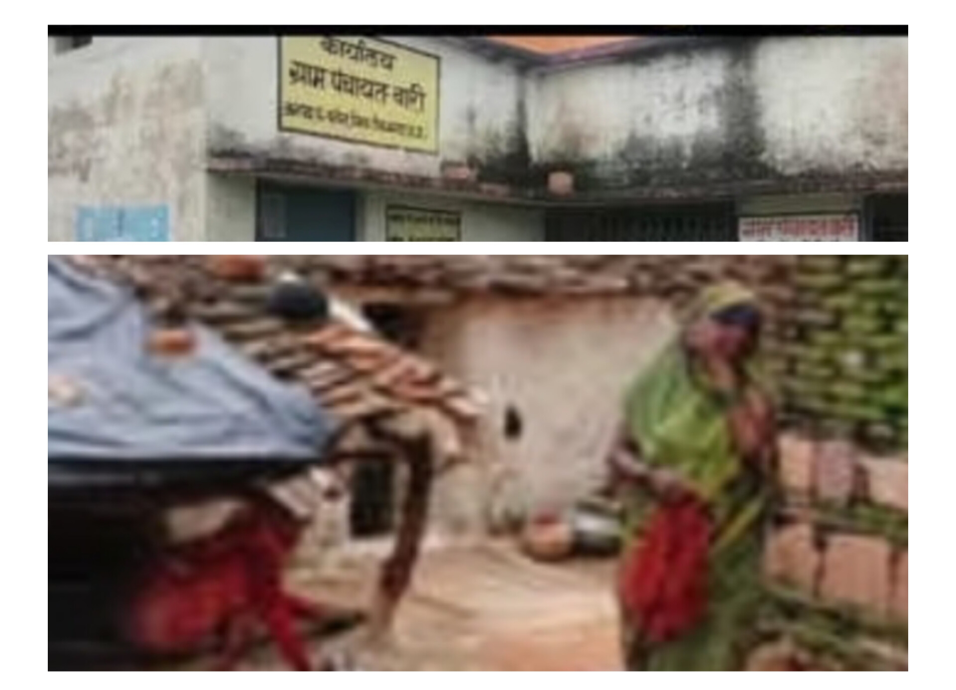 MP ka Pancahayati raj: किला पंचायत.. यानि पॉलिथीन का मकान, दूसरे के घरों में मजदूरी... ये है सरपंच भुमानी बाई 6 IMG 20240805 223321
