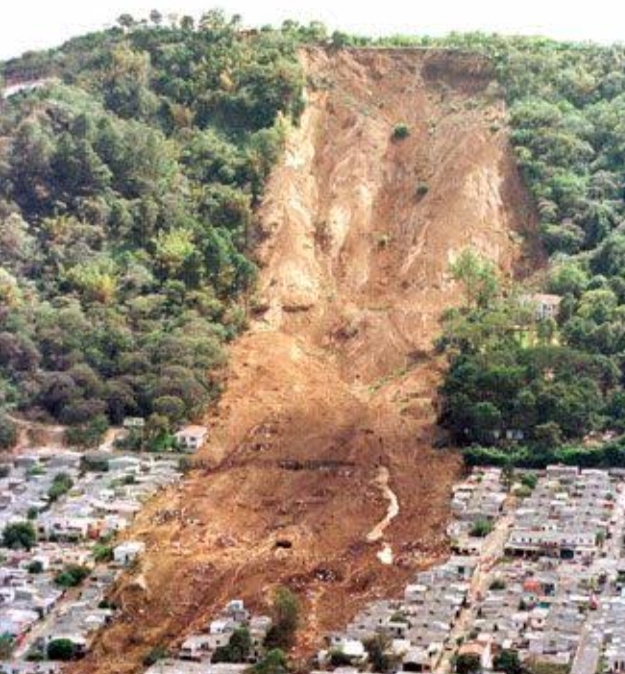 Editorial <br>समस्या की जड़ में हम भी! 6 IMG 20240827 150538