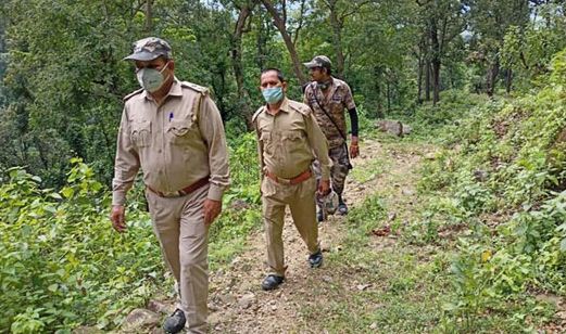 सात माह में वन कर्मचारियों के ऊपर 20 प्राण घातक