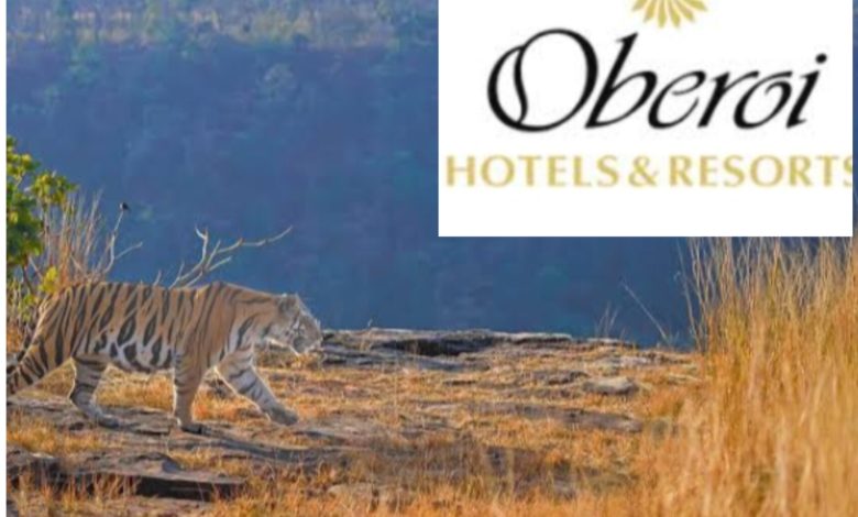 Panna tiger reserve: ओबेरॉय ग्रुप को जमीन देने से खड़ा हुआ विवाद, वन्यजीव संरक्षण के लिए खतरा.... 1 IMG 20240925 162142