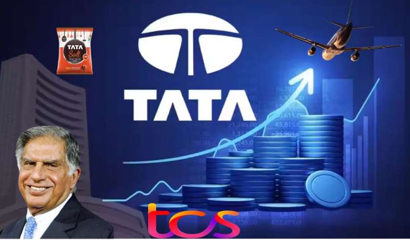 रतन टाटा ने नमक से लेकर हवाई जहाज तक टाटा