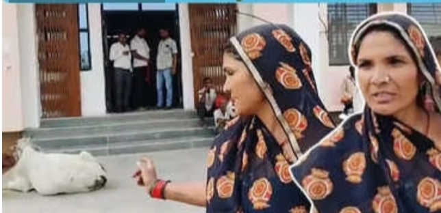 MP: स्टे ऑर्डर के लिए मांगी 50 हजार की रिश्वत, गाय लेकर SDM ऑफिस पहुंची महिला, एसडीएम के छूटे पसीने 1 IMG 20241011 212556