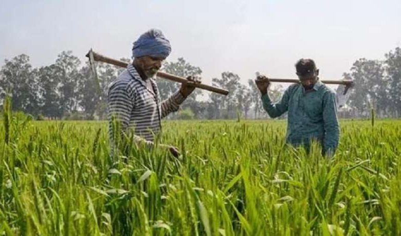 एमपी के किसान अपने खेतों को देख सकेंगे ऑनलाइन 1 एमपी के किसान अपने खेतों को देख सकेंगे ऑनलाइन