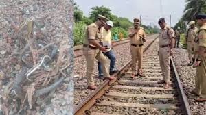 ग्वालियर में ट्रेन को बेपटरी करने की कोशिश, दिल्ली की ओर जाने वाले ट्रैक पर मिलीं लोहे की छड़ 1 ग्वालियर में ट्रेन को बेपटरी करने की कोशिश दिल्ली की