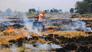 पराली जलाना नहीं रुका..........पंजाब और हरियाणा सरकारों को फटकार 1 पराली जलाना नहीं रुकापंजाब और हरियाणा सरकारों को फटकार