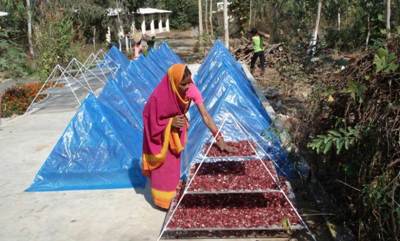 वनौषधि प्रसंस्करण केंद्र डोंगानाला की प्रेरक सफलता 1 वनौषधि प्रसंस्करण केंद्र डोंगानाला की प्रेरक सफलता