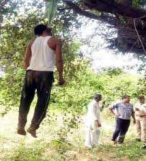 वसुंधरा में पेड़ से लटका मिला आईटी कंपनी के मैनेजर का शव 1 वसुंधरा में पेड़ से लटका मिला आईटी कंपनी के मैनेजर