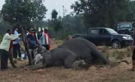 Edirorial: बांधवगढ़ टाइगर रिजर्व में लापरवाही की हद ! 1 IMG 20241105 155706