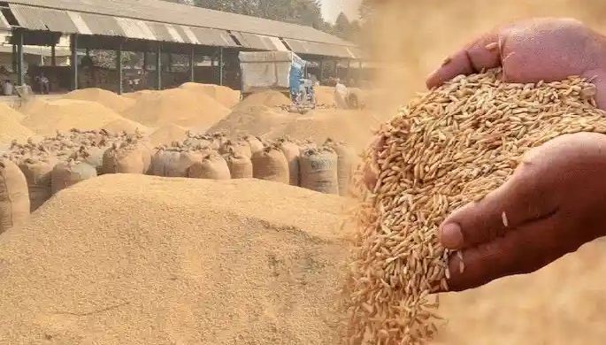 अब तक 135 करोड़ के 43 हजार टन धान की