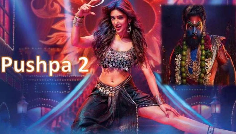 द रूल में श्रीलीला का नया लुक जारी फैंस की