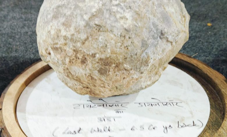 Funda: ये नहीं प्यारे कोई मामूली अंडा..!!<br>‘आओ सिखाऊँ तुम्हें, अंडे का फंडा<br>इसमें छिपा है जीवन का फलसफ़ा<br>अंडे में अंडा,फंडे में फंडा…।’ 1 IMG 20241224 WA0000