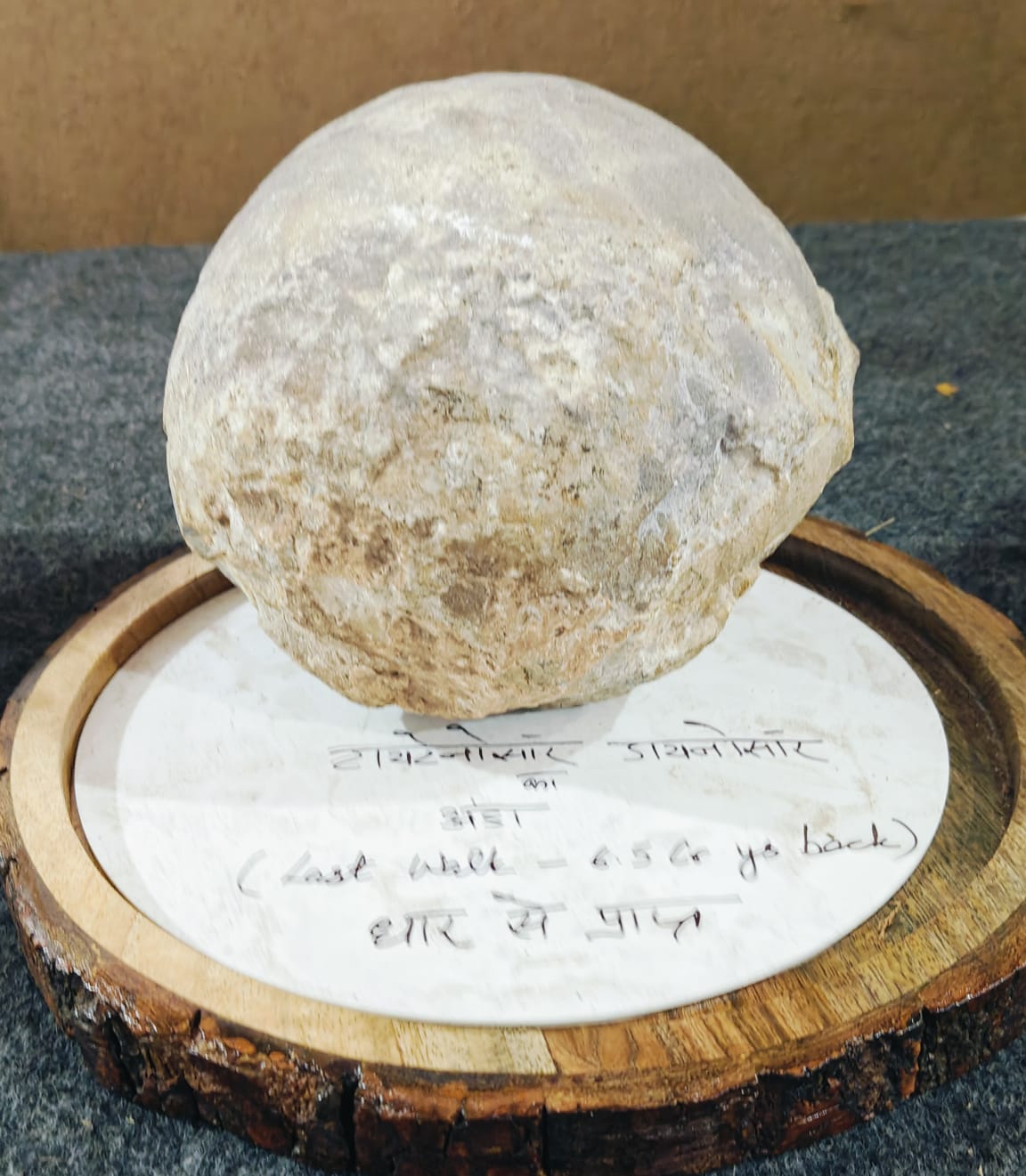 Funda: ये नहीं प्यारे कोई मामूली अंडा..!!<br>‘आओ सिखाऊँ तुम्हें, अंडे का फंडा<br>इसमें छिपा है जीवन का फलसफ़ा<br>अंडे में अंडा,फंडे में फंडा…।’ 6 IMG 20241224 WA0000