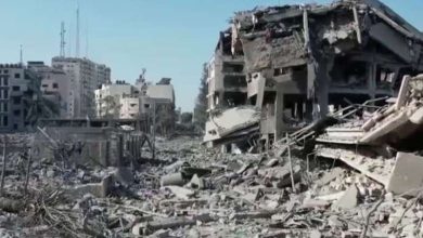 गाजा में 14 लोगों की जान गई नागरिकों को जगह