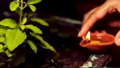 शुद्ध देसी घी न होतो घर की तुलसी के पास