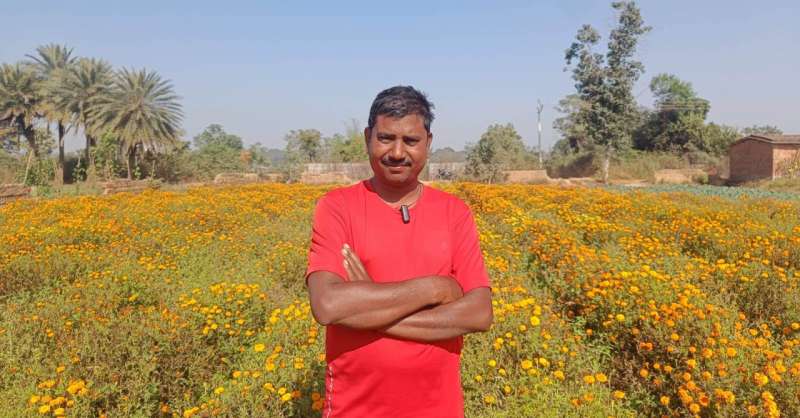 फूलों की खेती से परिमल की बढ़ी आय 6 फूलों की खेती से परिमल की बढ़ी आय