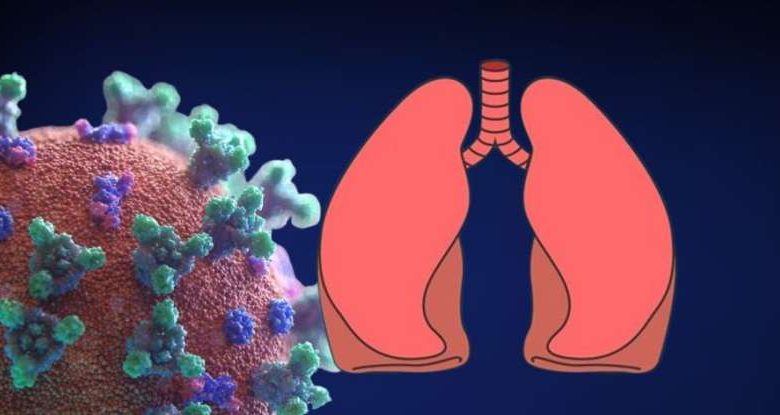 चीन में HMPV संक्रमण के बढ़ते मामलों के बाद दिल्ली