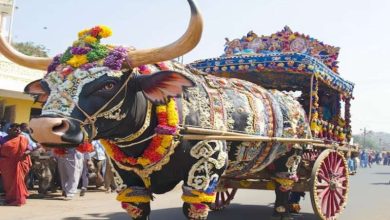 पारंपरिक अंदाज में मायराभाइयों का बहन के लिए खास प्यार