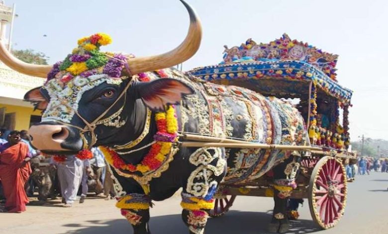 पारंपरिक अंदाज में मायरा,भाइयों का बहन के लिए खास प्यार और उत्साह दिखा। 1 पारंपरिक अंदाज में मायराभाइयों का बहन के लिए खास प्यार