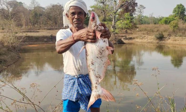 मत्स्य पालन से आर्थिक समृद्धि, सालाना आय 5.5 लाख रुपए 1 मत्स्य पालन से आर्थिक समृद्धि सालाना आय 55 लाख रुपए