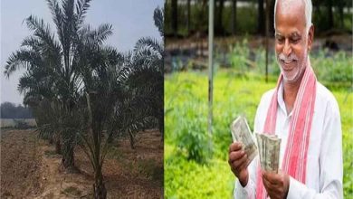 अब हरियाणा के खेत सऊदी अरब की तरह नजर आएंगे