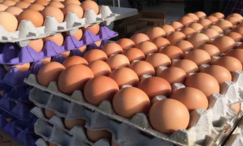 अमेरिका में बर्ड फ्लू के मामलों में फिर से बढ़ोतरी