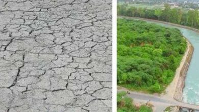 इंदिरा गांधी नहर परियोजना के अधिकारियों के एक आदेश ने