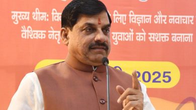 ग्लोबल इन्वेस्टर्स समिट 2025 छोटे उद्योगों के लिए बड़े अवसर तैयार