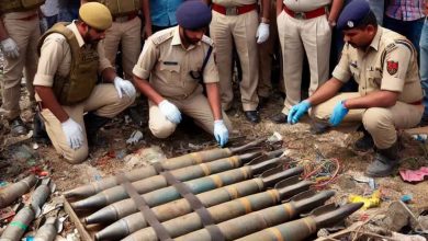 पंजाब के पटियाला जिले में कूड़े के ढेर से सात