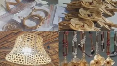 फरीदाबाद में सूरजकुंड मेले का आज तीसरा दिन मेले में