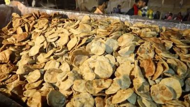 बागेश्वर धाम में सामूहिक विवाह समारोह के लिए महा भंडारे