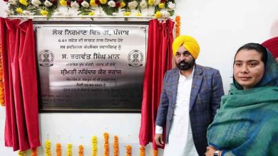 मुख्यमंत्री मान ने कहा आप सरकार ने पंजाब में 117