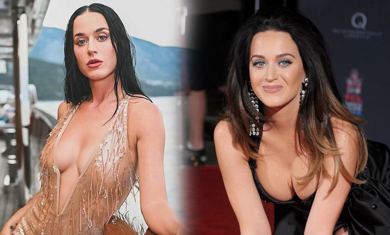 स्पेस मिशन पर जाएंगी गयिका कैटी पेरी अंतरिक्ष यान में