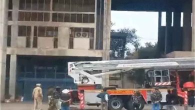 हरियाणा का सिविल सचिवालय कैंपस और बिल्डिंग अब मधुमक्खी फ्री