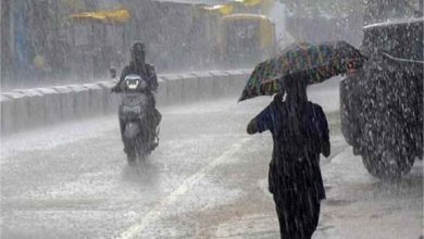 हरियाणा में आज पश्चिमी विक्षोभ सक्रिय हो गया इन जिलों