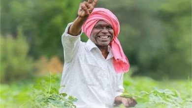 हरियाणा में किसानों के लिए गुड न्यूज अब मौसम के