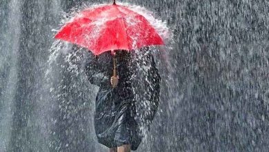 हरियाणा में दिन प्रतिदिन मौसम बदल रहा फिर होगी झमाझम बारिश