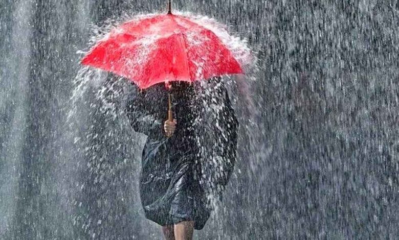 हरियाणा में दिन प्रतिदिन मौसम बदल रहा फिर होगी झमाझम बारिश