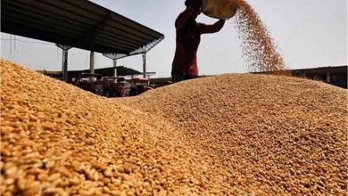 हरियाणा में मौसम ने कड़ाके की सर्दी के बाद अब