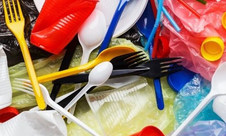 हिसार में सिंगल यूज प्लास्टिक पर पूरी तरह से रोक लगाने की तैयारी, 1 मार्च से लागू होगी 1 हिसार में सिंगल यूज प्लास्टिक पर पूरी तरह से रोक