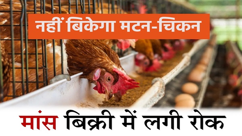 नवरात्रि में मैहर, भोपाल और इंदौर में भी नहीं बिकेगा मांस, दुकानों का लाइसेंस रद करने का आदेश 6 नवरात्रि में मैहर भोपाल और इंदौर में भी नहीं बिकेगा