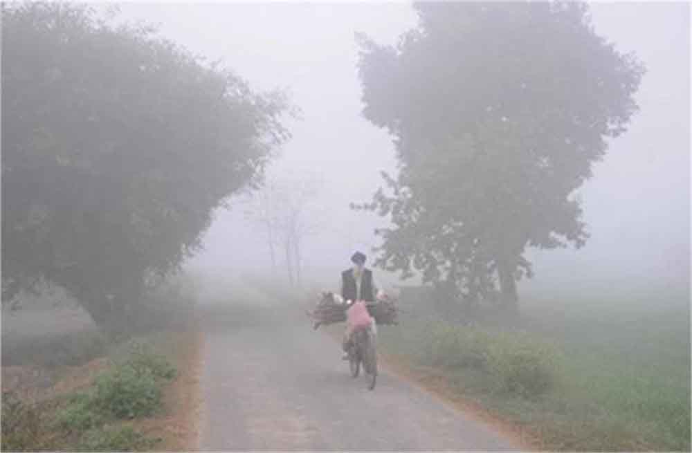 पंजाब के मौसम का बदल गया मिजाज राज्य में ठंड